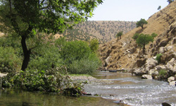 افزایش آب رودخانه‌های استان زنجان